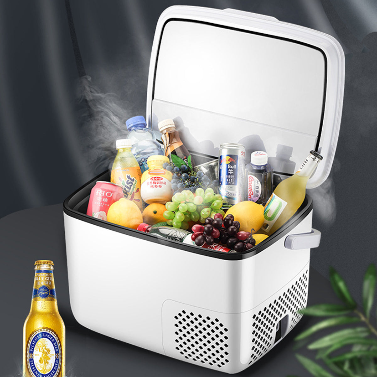 18L Portable Car Refrigerator, 12V/24V Dual Voltage, -20°C Freezing Capability, Dual Zone Cooling