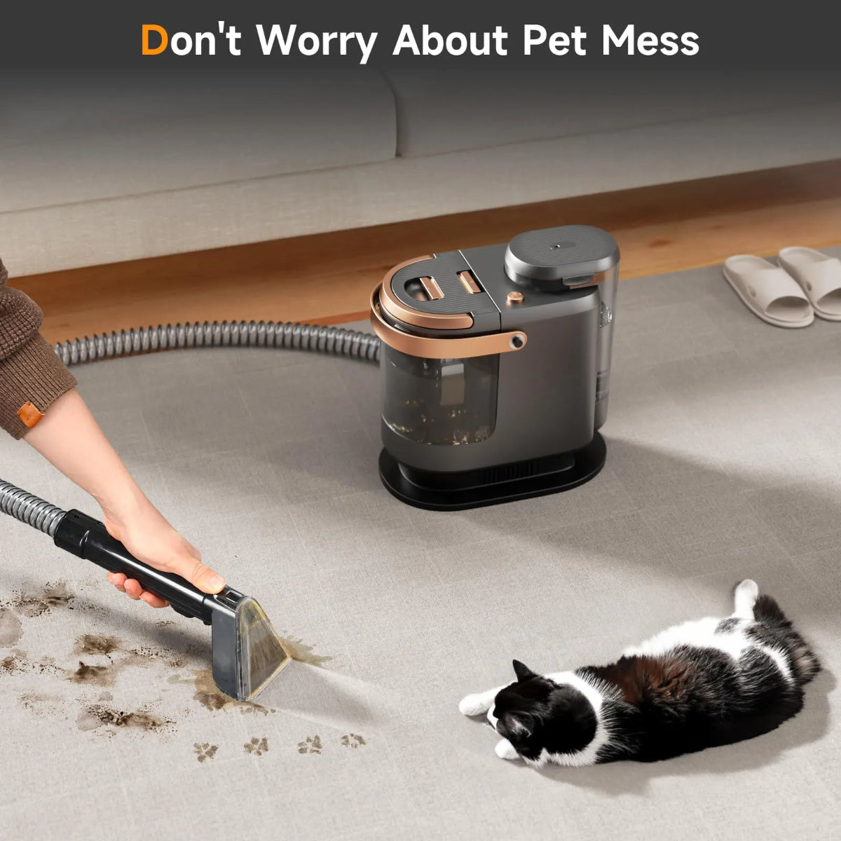 Portable Carpet Cleaner with Self-Cleaning Hose, 54oz Clean Water Tank, Wet-Dry Vacuum for Sofa and Upholstery, Grey